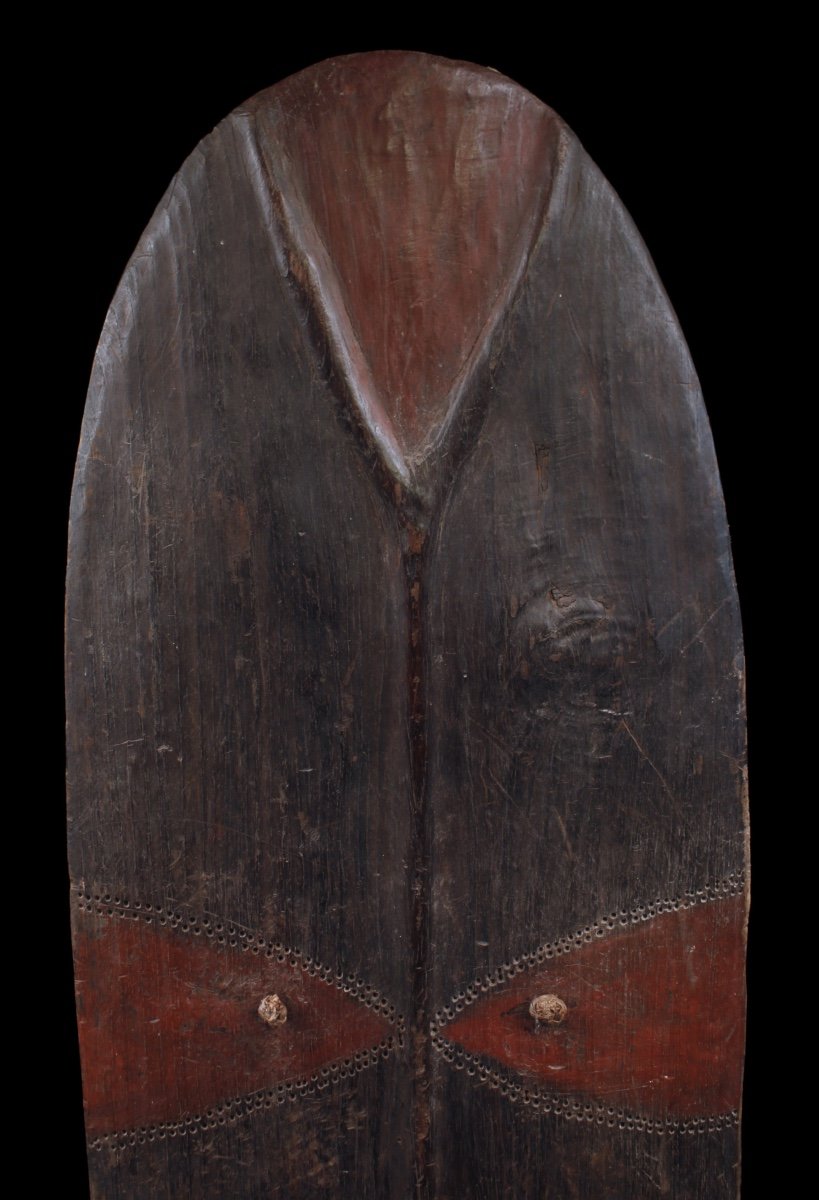 Shield, Papua New Guinea, Oceania, Primitive Art, Oceanic Art, Sculpture-photo-1