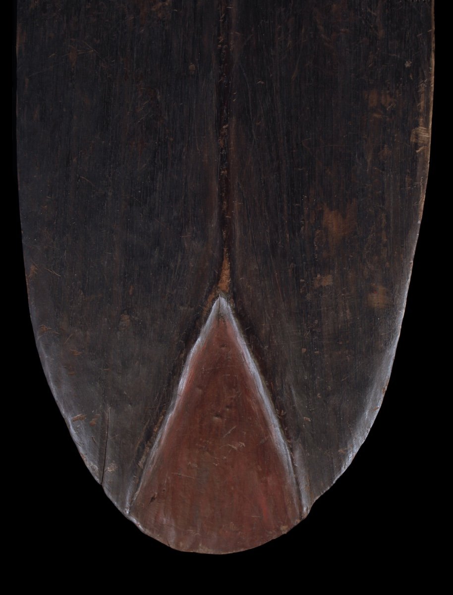 Shield, Papua New Guinea, Oceania, Primitive Art, Oceanic Art, Sculpture-photo-4