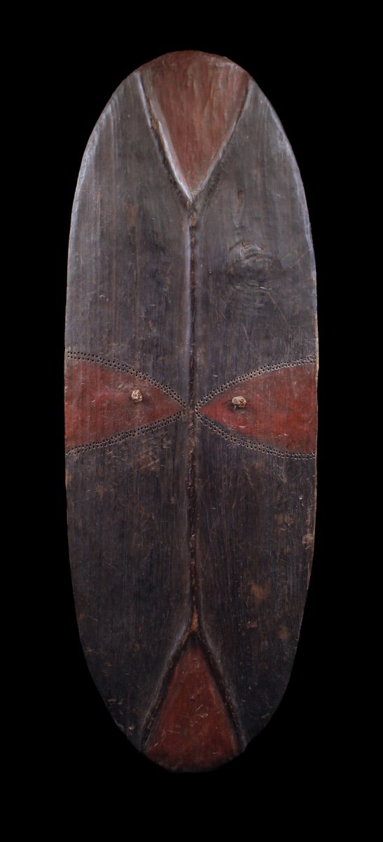 Shield, Papua New Guinea, Oceania, Primitive Art, Oceanic Art, Sculpture