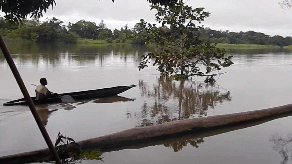 Pagaie, Fleuve Sépik, Papouasie Nouvelle Guinée, Art Océanien, Art Tribal, Sculpture, Océanie-photo-5