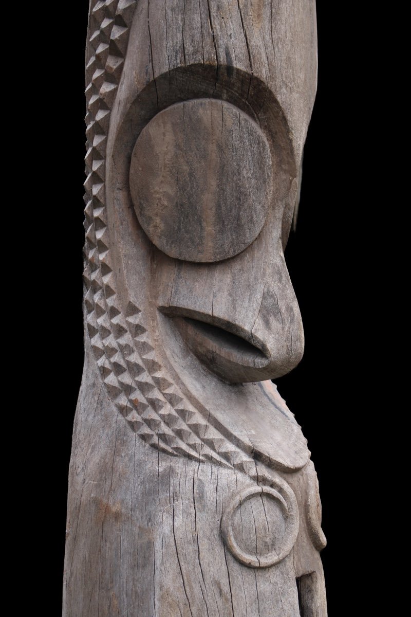 Slit Drum Head, Vanuatu, Tribal Art, Oceanic Art, Pacific Art, Totem-photo-4