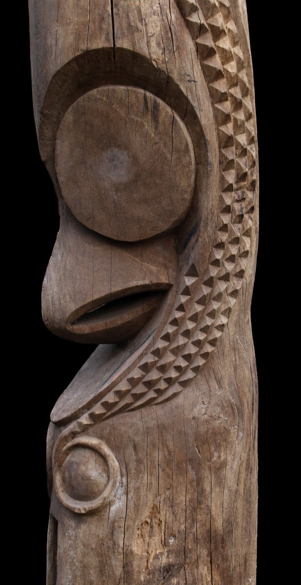 Slit Drum Head, Vanuatu, Tribal Art, Oceanic Art, Pacific Art, Totem-photo-6