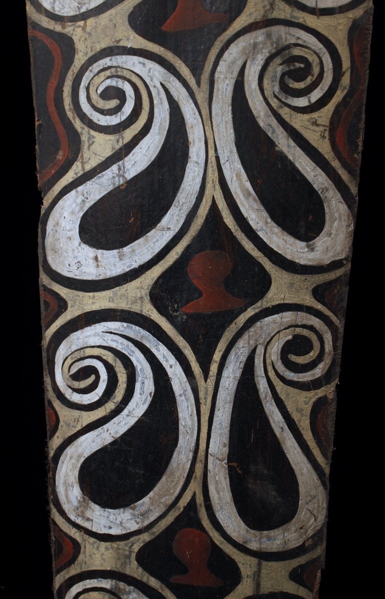 Painted Bark, Kwoma Ethnic Group, Papua New Guinea, Primitive Art, Oceanic Art-photo-2