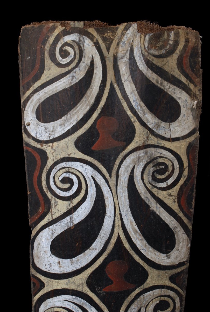 Painted Bark, Kwoma Ethnic Group, Papua New Guinea, Primitive Art, Oceanic Art-photo-1