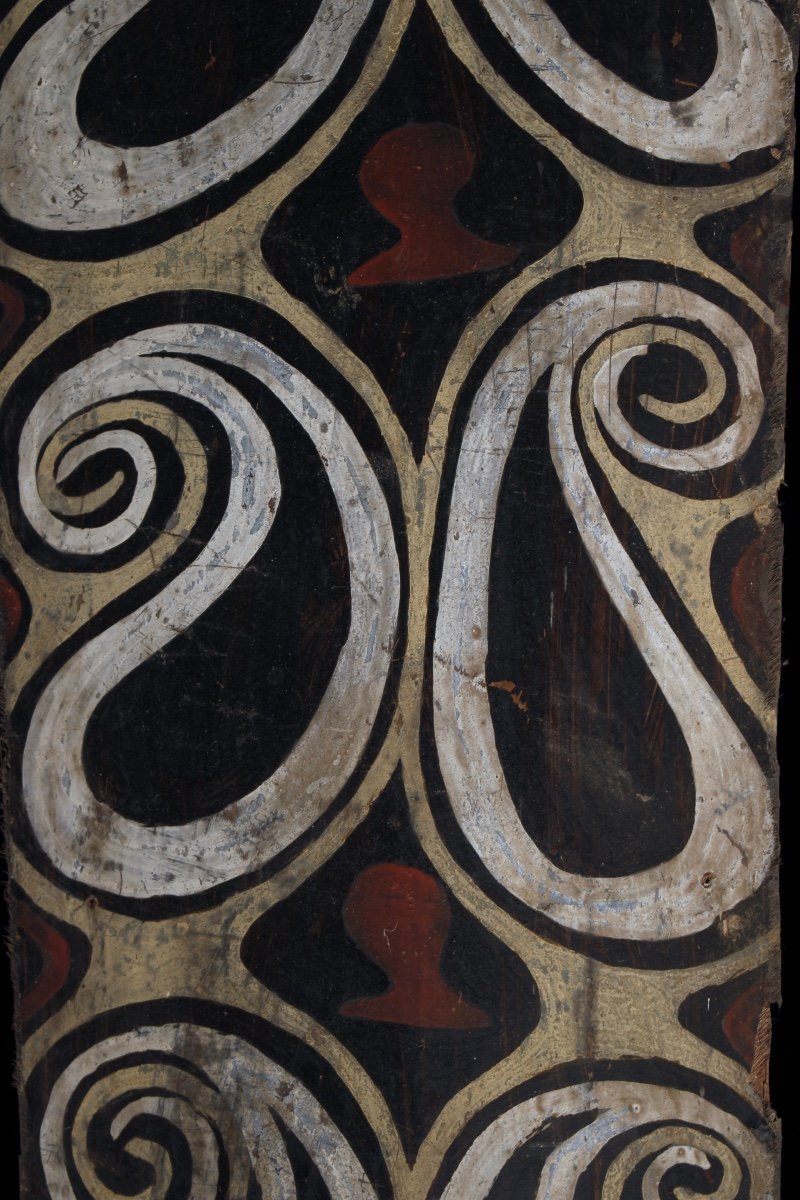 Painted Bark, Kwoma Ethnic Group, Papua New Guinea, Primitive Art, Oceanic Art-photo-3