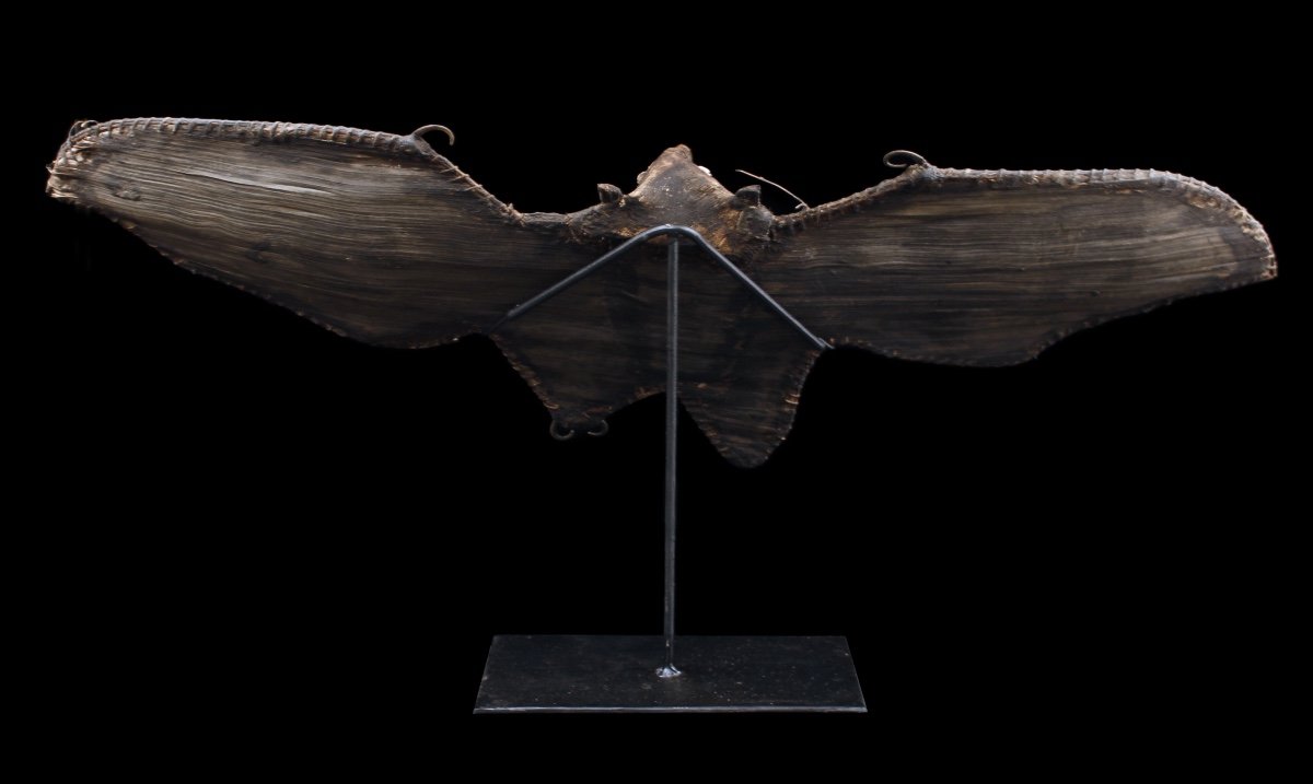 Bat, Tribal Art, Oceanic Art, Papua New Guinea, Oceania, Fruit Bat-photo-4