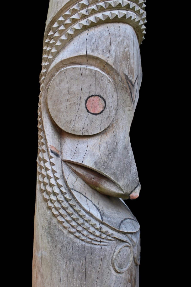 Ambrym Slit Gong Drum, Vanuatu, Tribal Art, Oceanic Art, Pacific, Instruments, Totem-photo-6