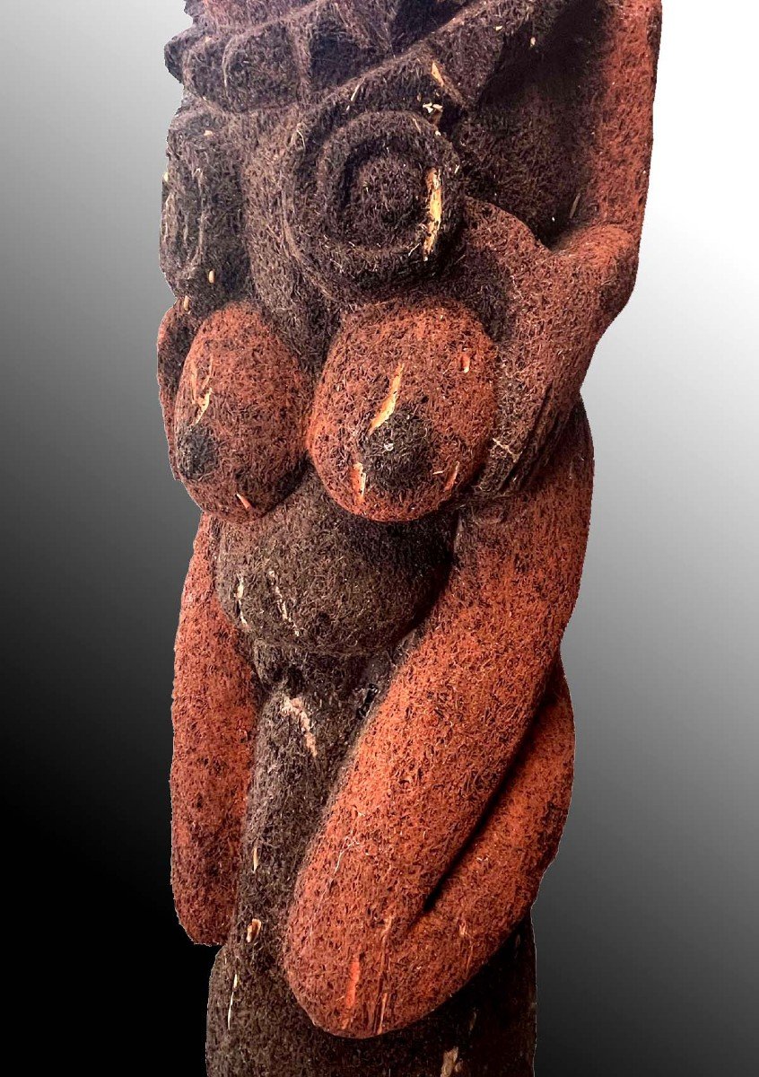 Tree Fern Couple Ambrym Vanuatu Oceania Tribal Art-photo-5