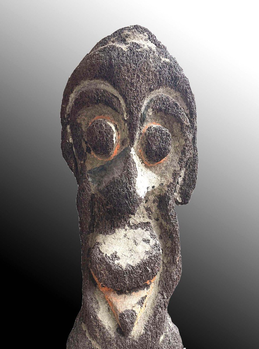 Exceptionnelle et ancienne Fougère sculptée  Ambrym Vanuatu Art Océanien Art Premier Art Tribal-photo-1