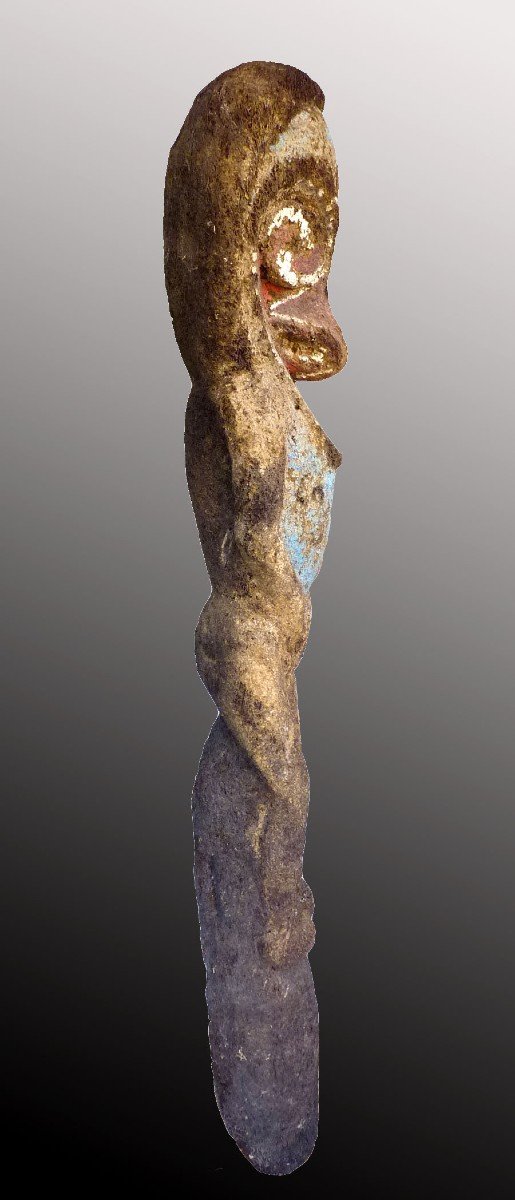 Grade Figure Ambrym Vanuatu Oceania -photo-2