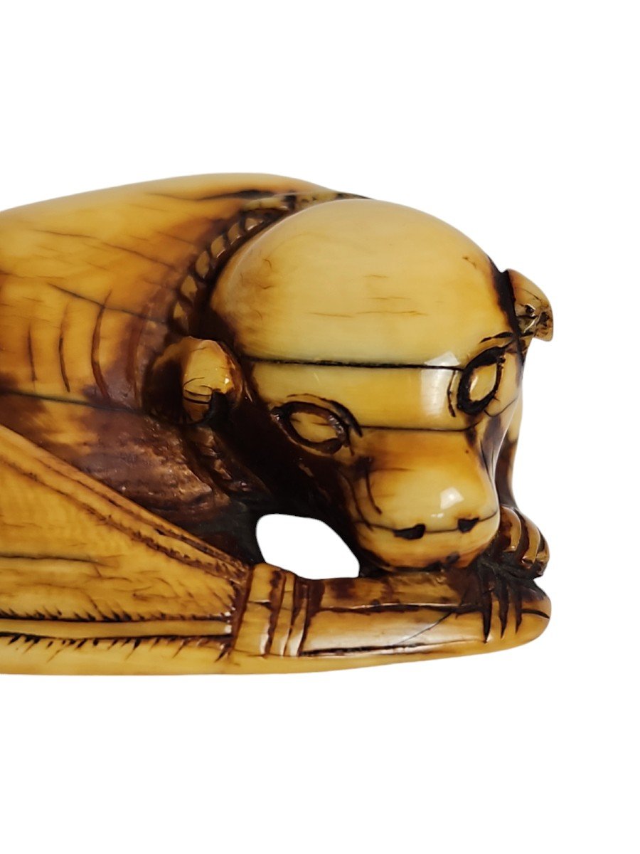 Chien Jouant Avec Un éventail, Netsuke. -photo-3