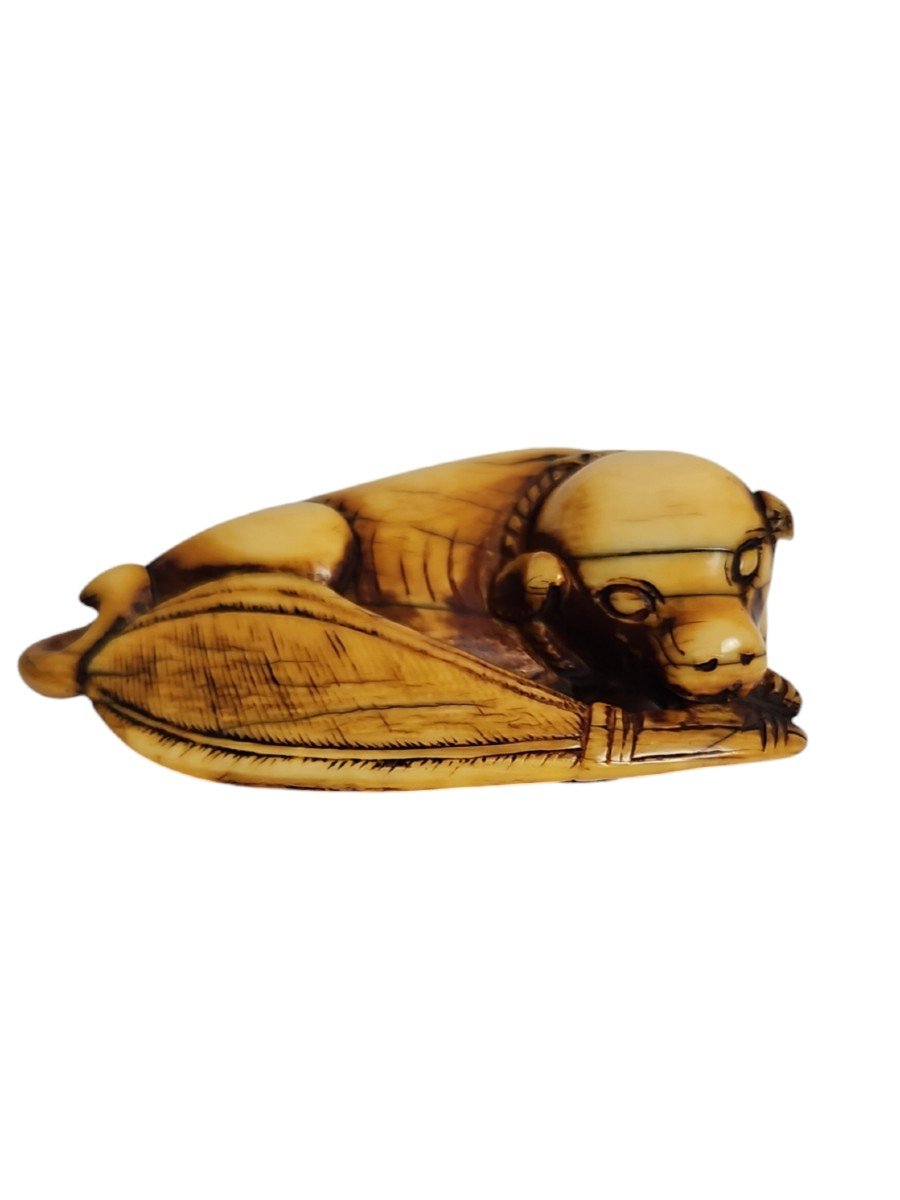 Chien Jouant Avec Un éventail, Netsuke. 