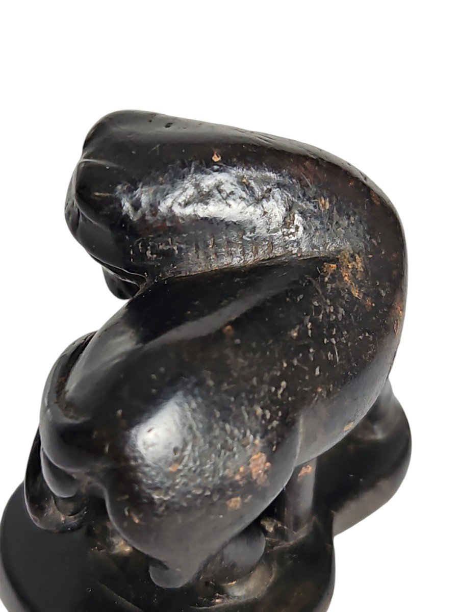 Cheval Chokaro Sur Une Gourde. Netsuke -photo-4