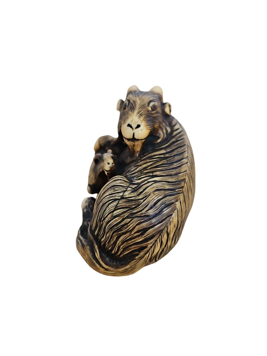 Chèvre Avec Son Petit,  Netsuke -photo-4