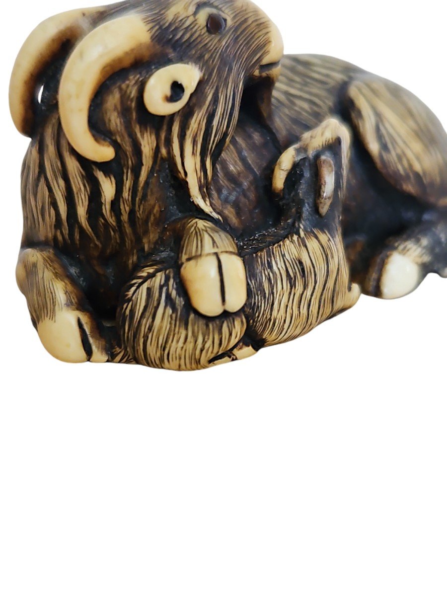 Chèvre Avec Son Petit,  Netsuke -photo-4