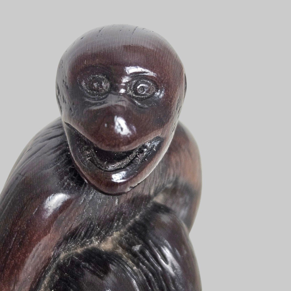 Netsuke Depicting A Monkey -photo-4