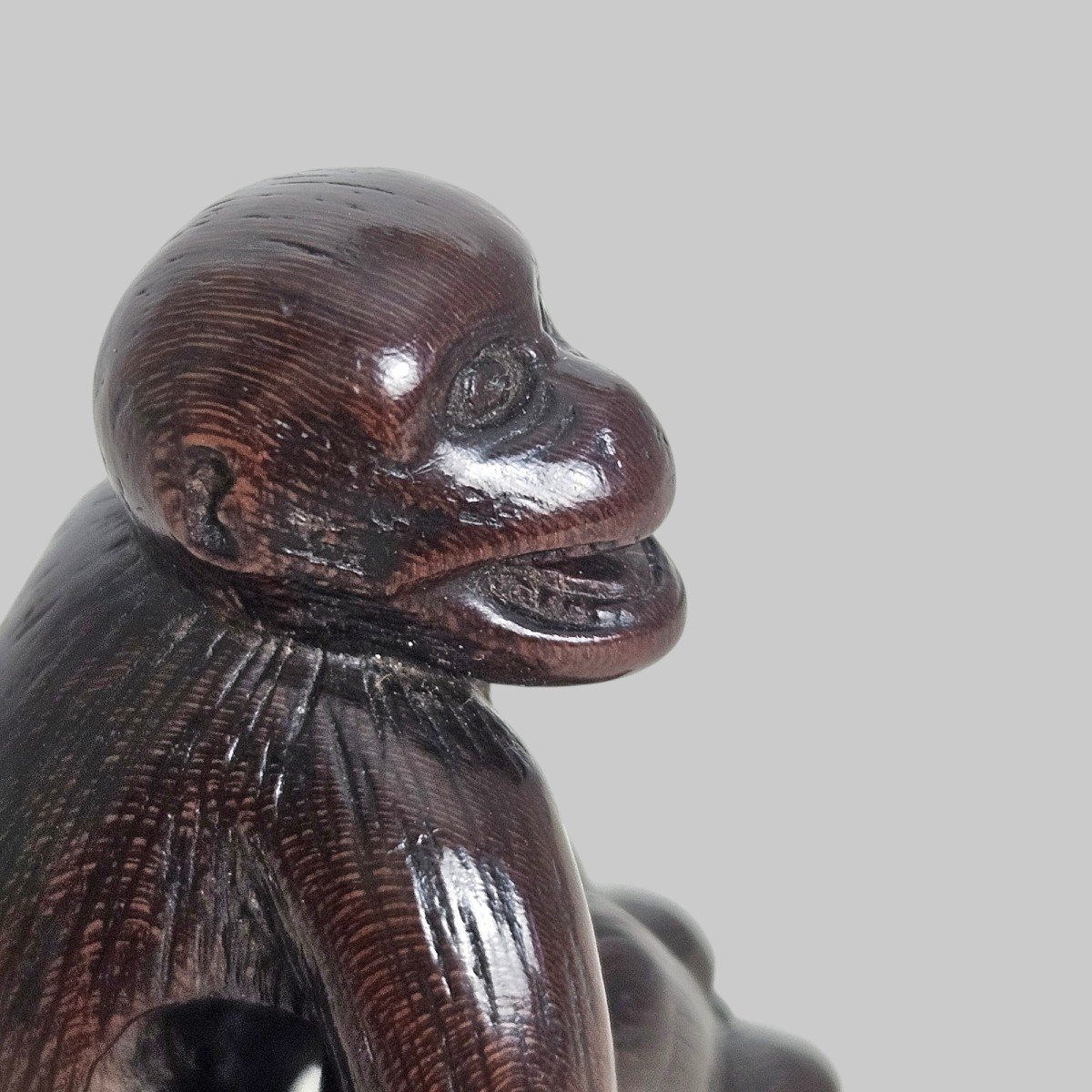 Netsuke Depicting A Monkey -photo-5