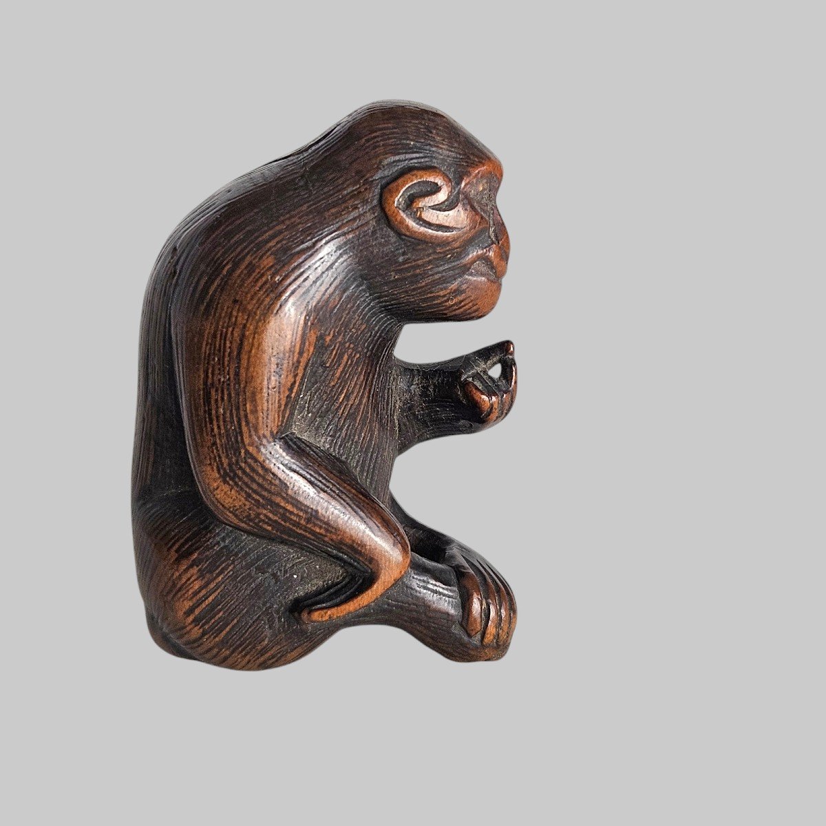 Netsuke Représentant Un Singe Attrapant Ses Puces-photo-2