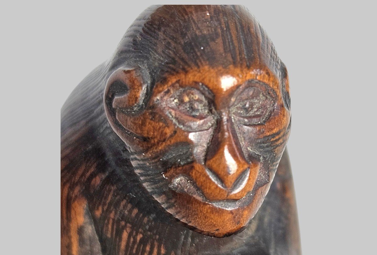 Netsuke Représentant Un Singe Attrapant Ses Puces-photo-1