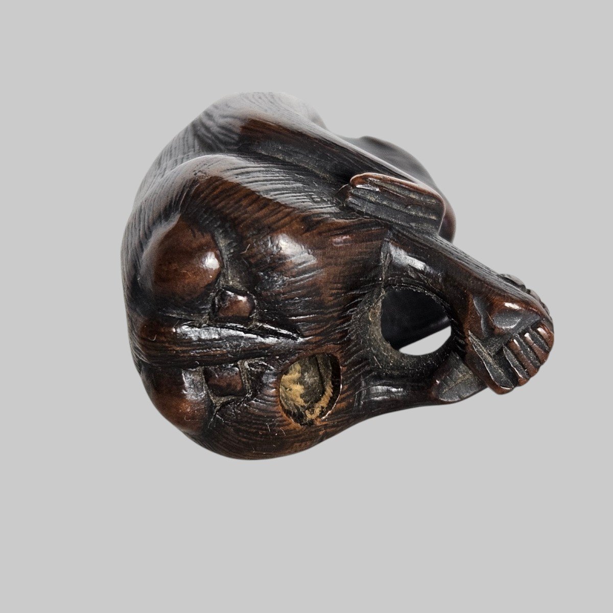 Netsuke Représentant Un Singe Attrapant Ses Puces-photo-2