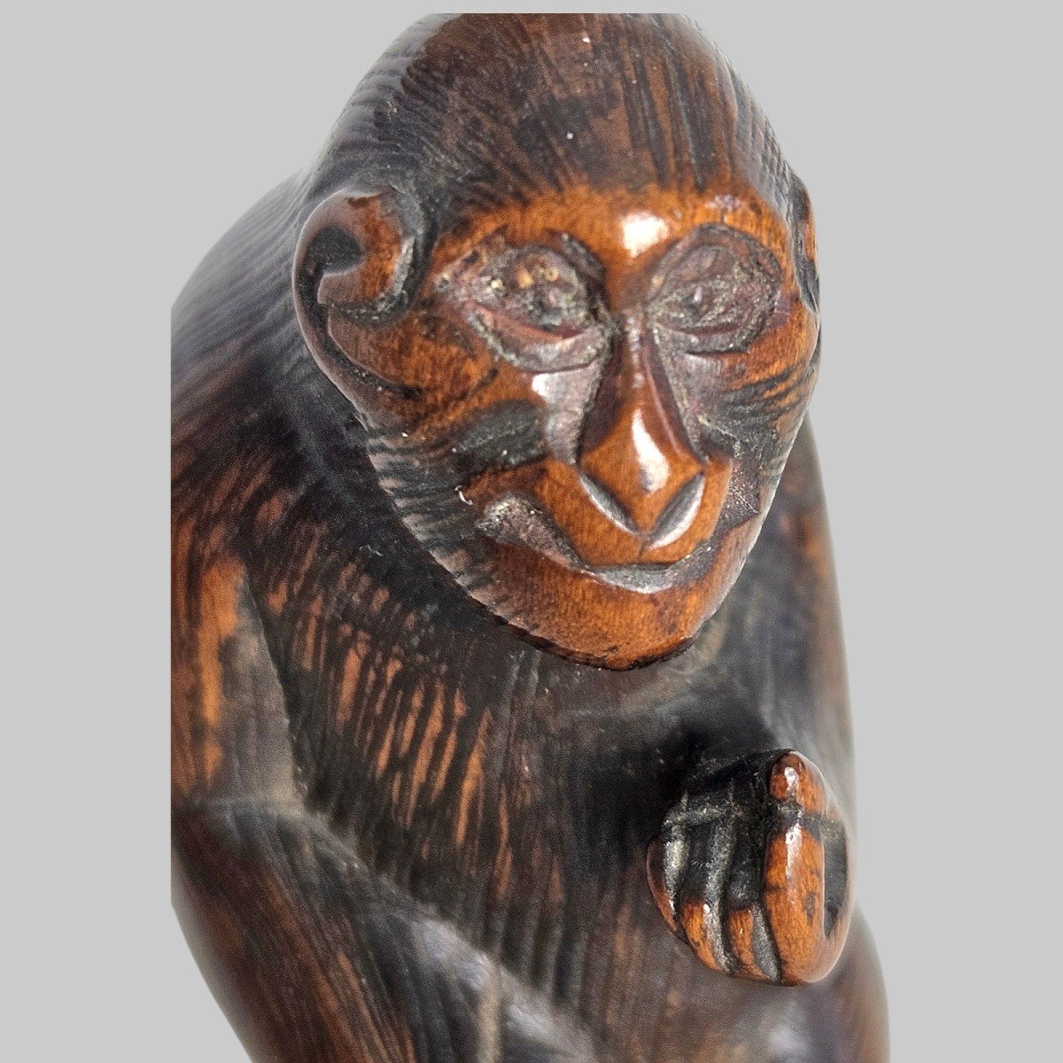 Netsuke Représentant Un Singe Attrapant Ses Puces-photo-3