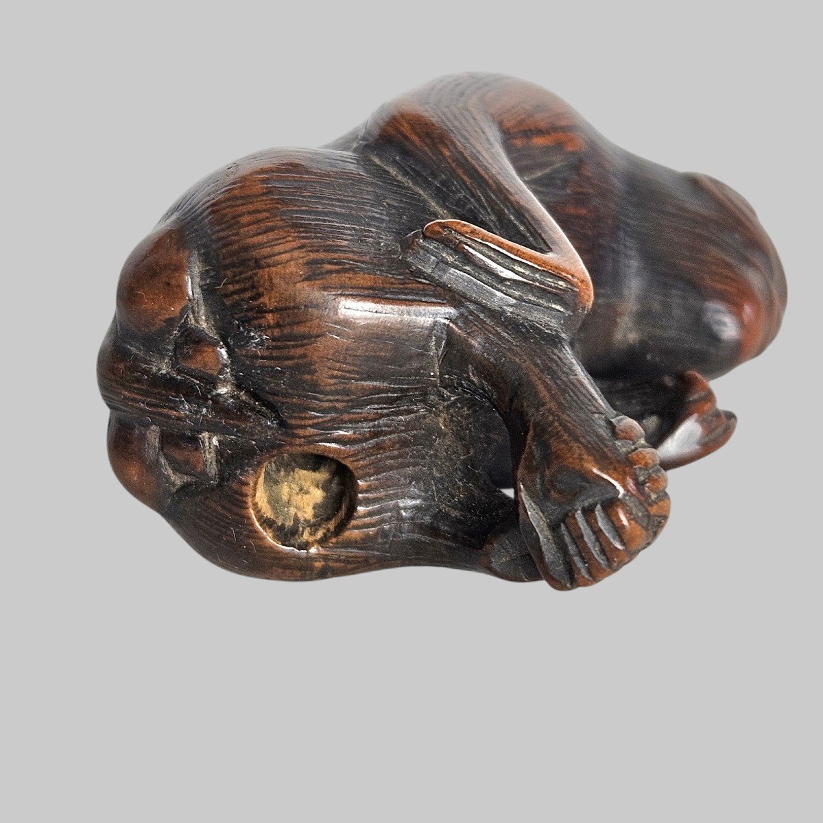 Netsuke Représentant Un Singe Attrapant Ses Puces-photo-4