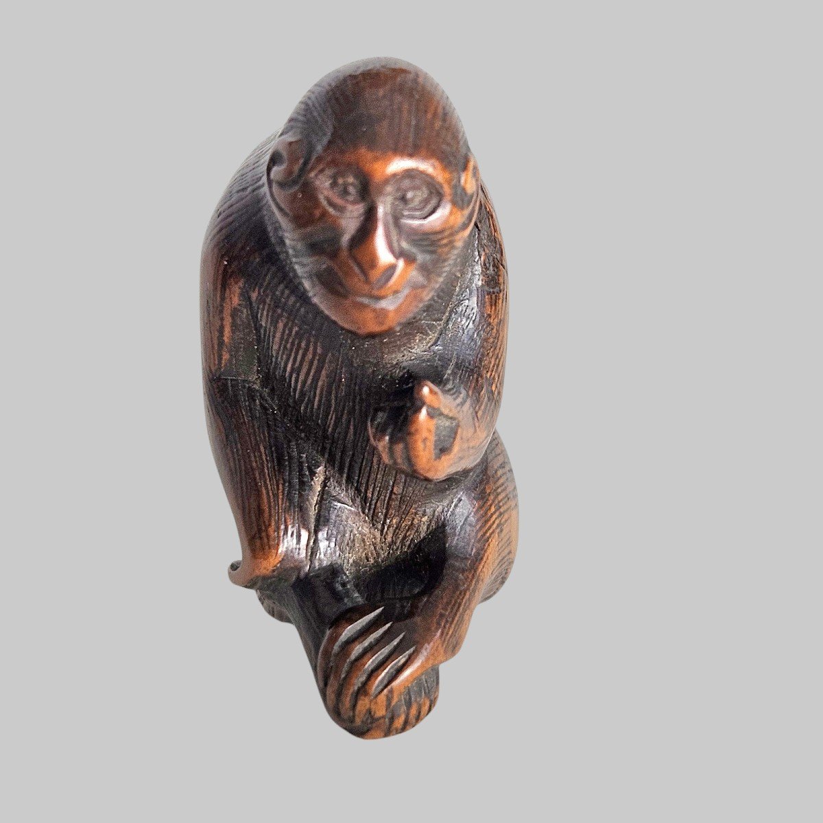 Netsuke Représentant Un Singe Attrapant Ses Puces-photo-8