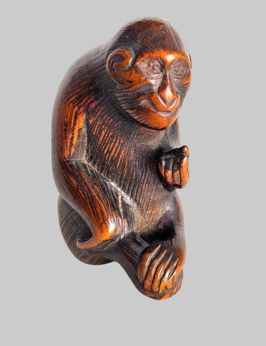 Netsuke Représentant Un Singe Attrapant Ses Puces