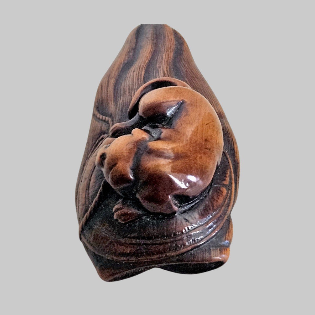 Netsuke Représentant Un Chien Couché -photo-1