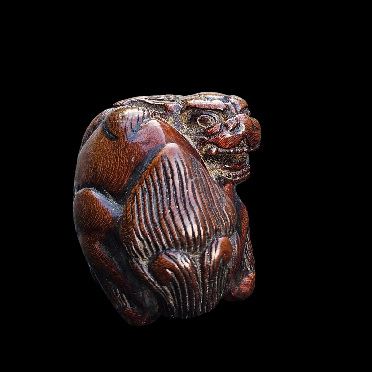 Shishi Regardant En Arrière. Netsuke -photo-3