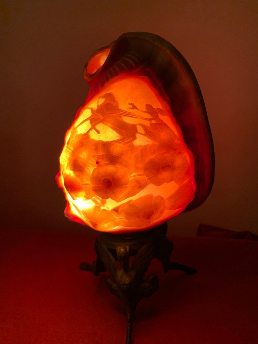 Shell Lamp Worked-photo-4