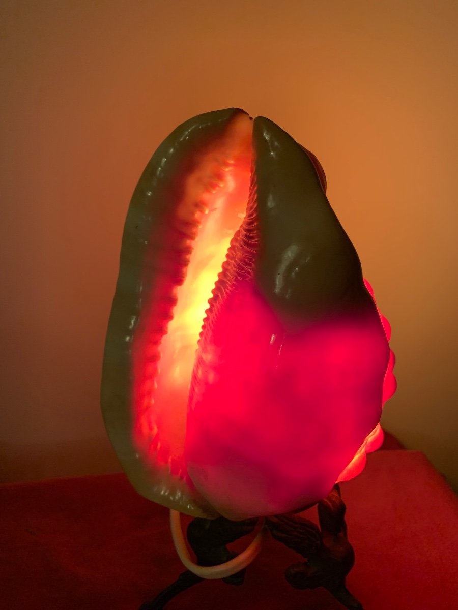 Shell Lamp Worked-photo-1