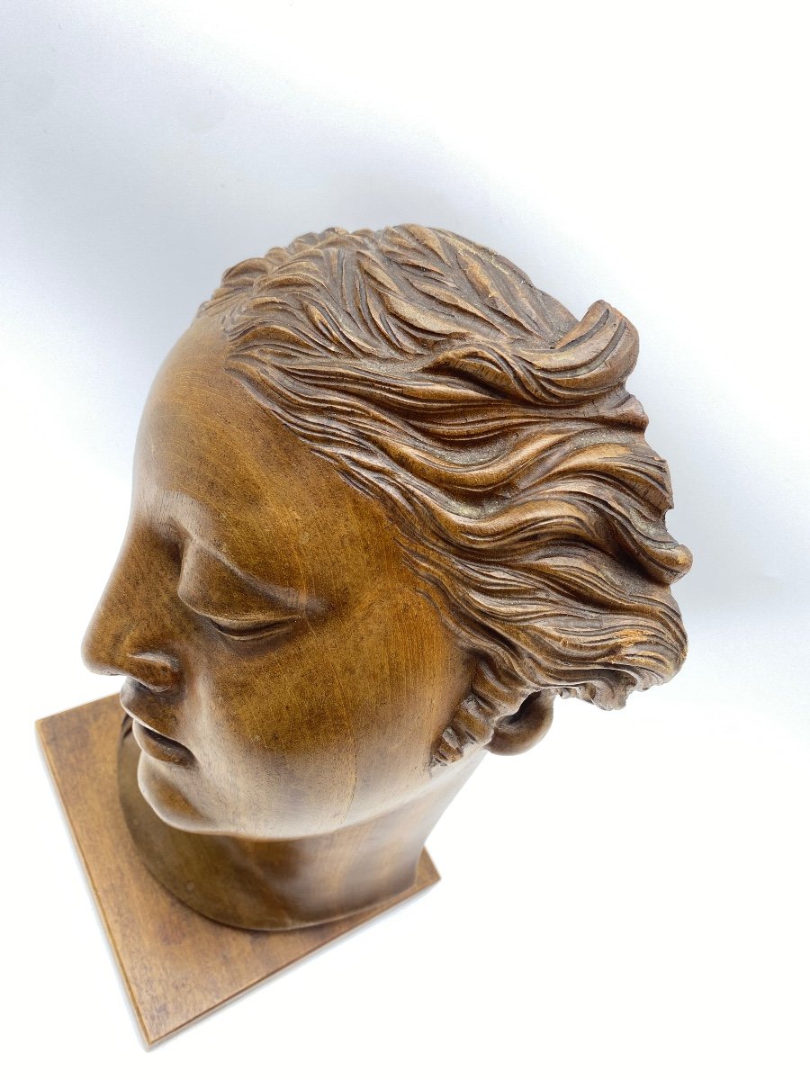 Art Deco Period Bust Wooden Classical Sculpture Head Of Venus -photo-3