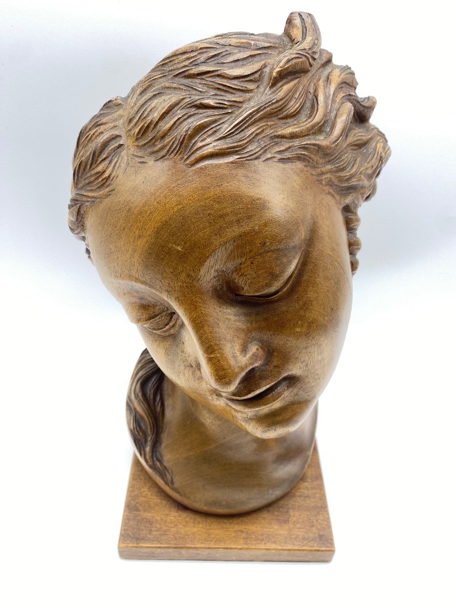 Art Deco Period Bust Wooden Classical Sculpture Head Of Venus -photo-4