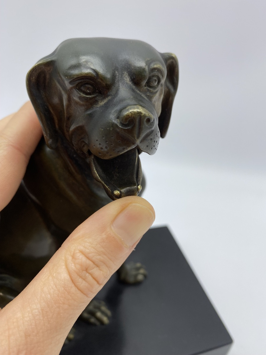 Antique Bronze Dog Statue 1900s Letter Holder With Movable Jaw-photo-2