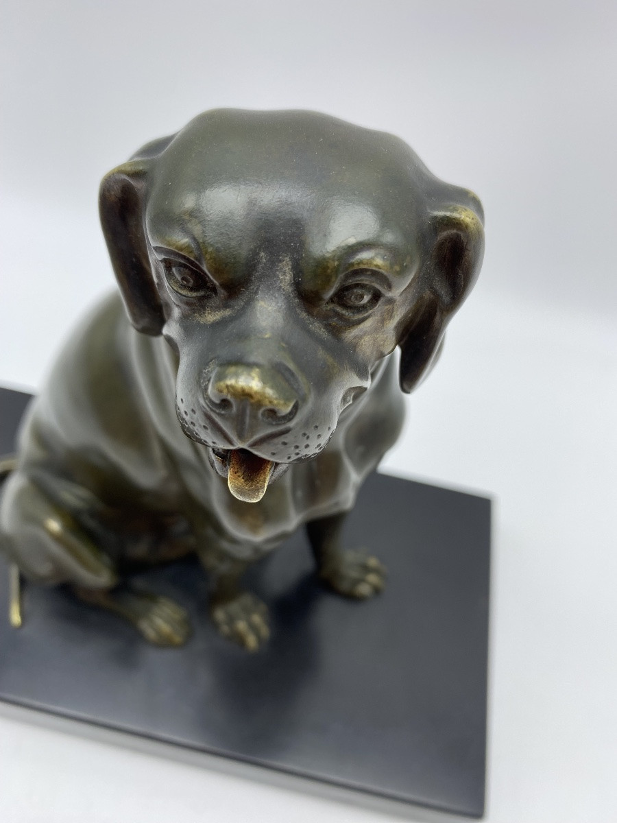 Antique Bronze Dog Statue 1900s Letter Holder With Movable Jaw-photo-5