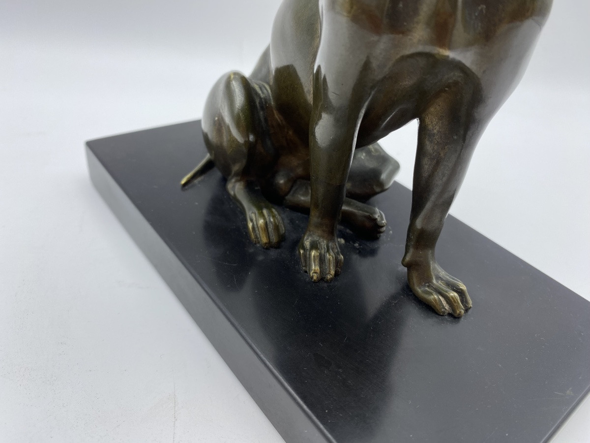 Antique Bronze Dog Statue 1900s Letter Holder With Movable Jaw-photo-8