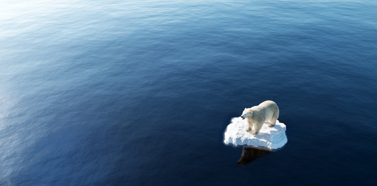 « L’ Ours Blanc » Fonte Anonyme Reprenant Le Modèle De Pompon -photo-5