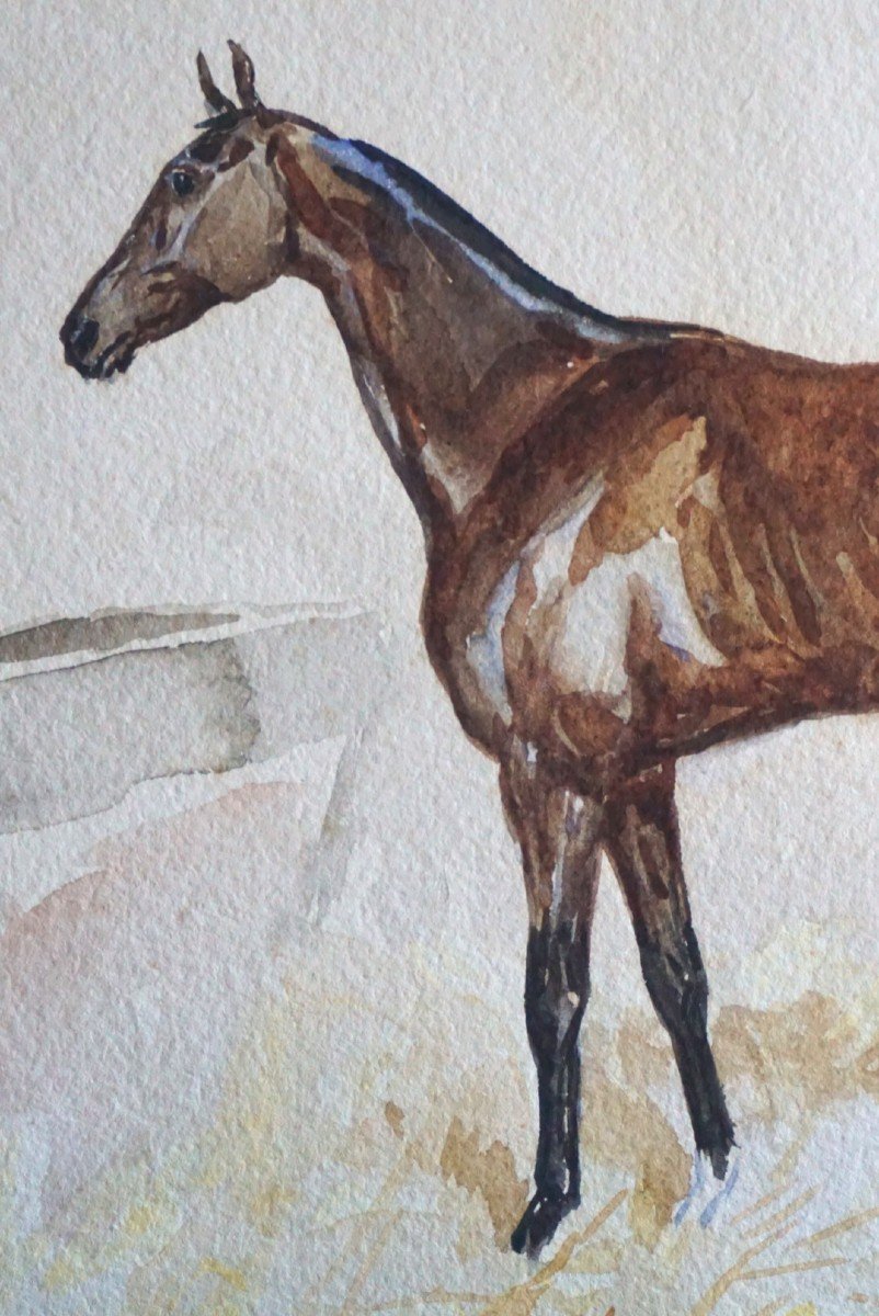 JOHAN G. ARSENIUS (1818-1903) / PORTRAIT D'UN CHEVAL DE COURSE / DATÉE 1870 / AQUARELLE -photo-5