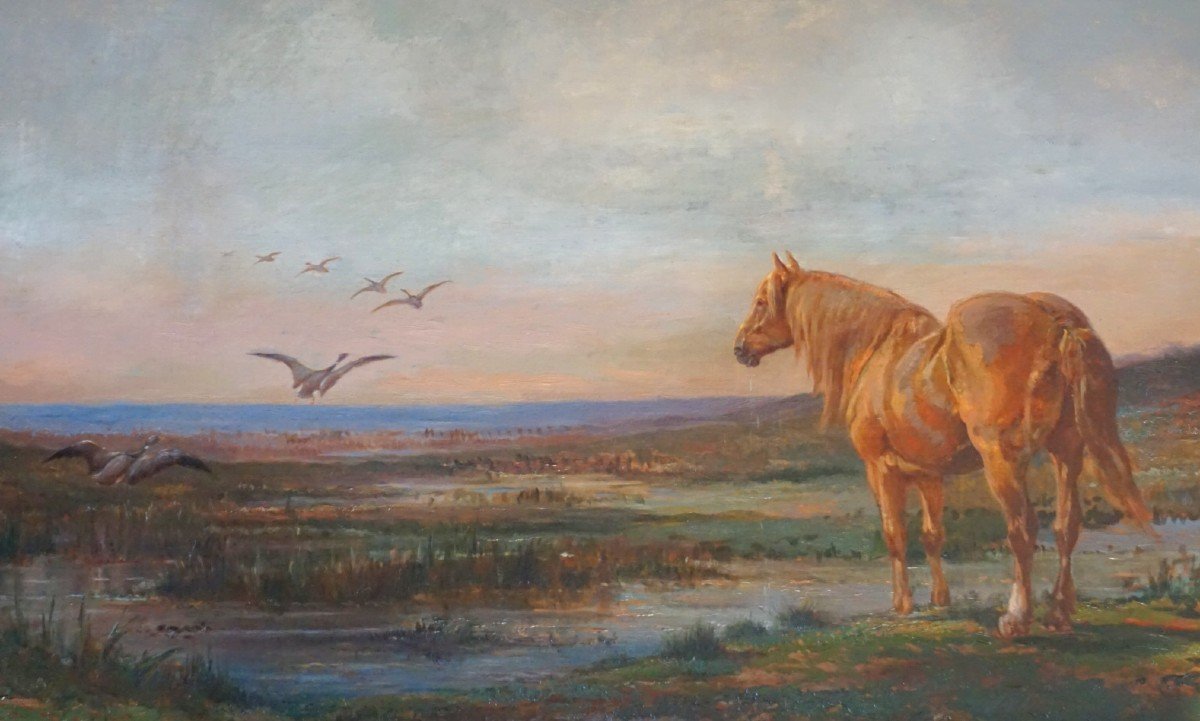 CHEVAL EN CAMARGUE / FIN XIX ème Siècle / HUILE SUR TOILE