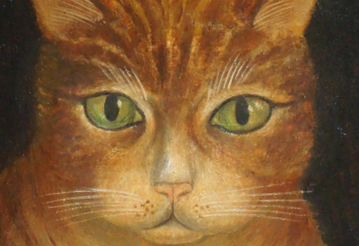 ÉCOLE NAÏVE DU XIX ème siècle / PORTRAIT DE CHAT / huile sur papier-photo-4