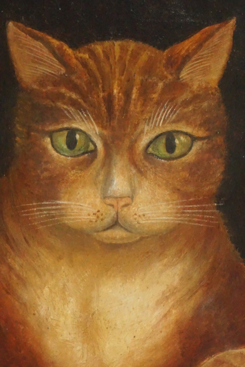 ÉCOLE NAÏVE DU XIX ème siècle / PORTRAIT DE CHAT / huile sur papier-photo-3