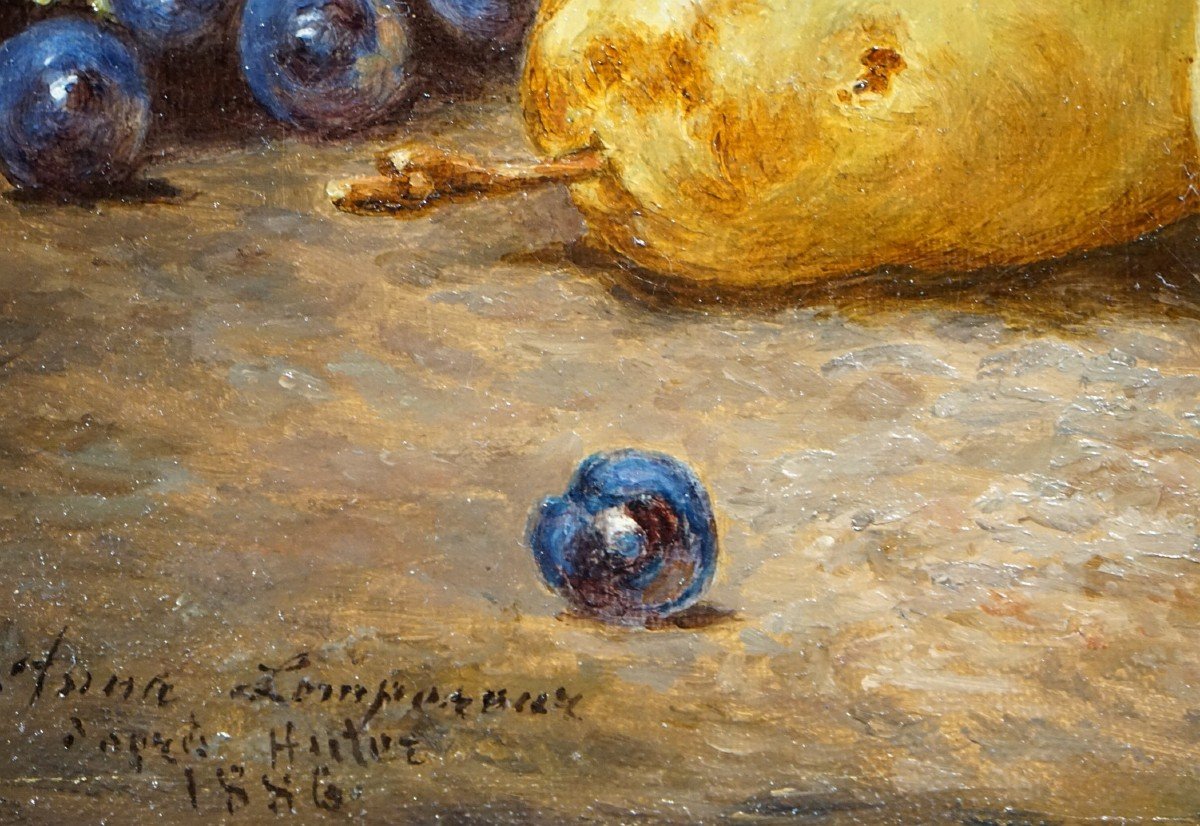 NATURE MORTE AUX FRUITS / DATÉE 1886 / ANNE LEMPEREUR / huile sur toile-photo-4