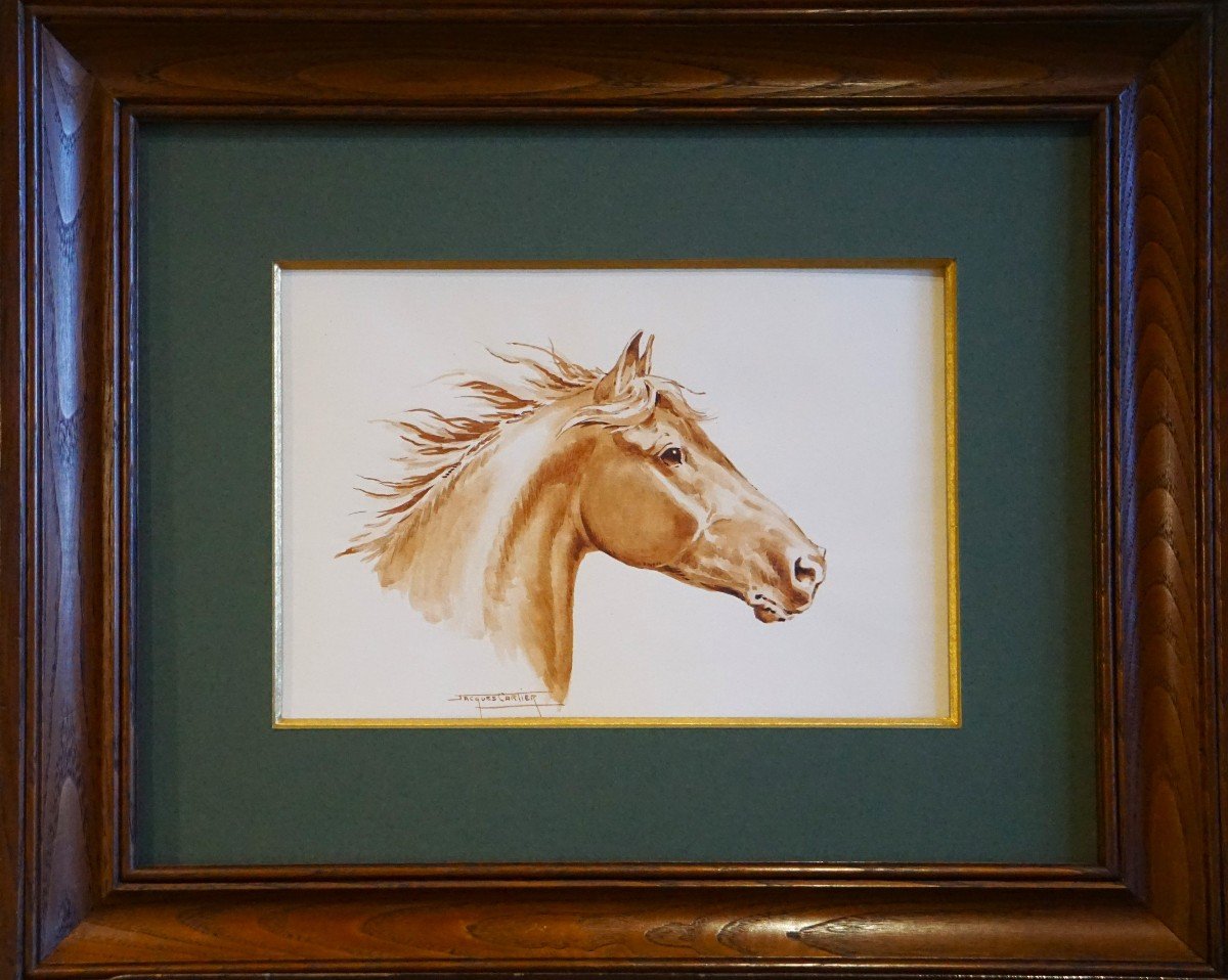 Jacques Cartier (1907-2001) / Portrait Of A Horse In The Wind / Watercolor-photo-4