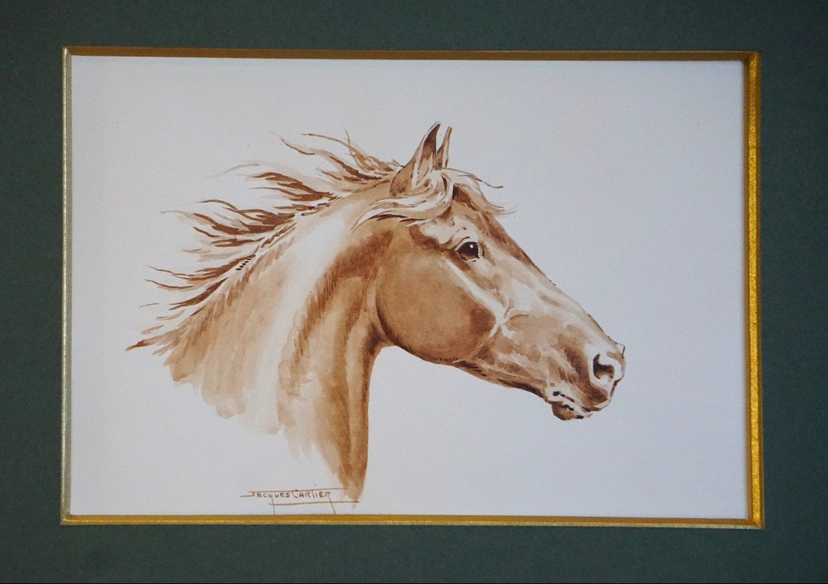 Jacques Cartier (1907-2001) / Portrait Of A Horse In The Wind / Watercolor-photo-2