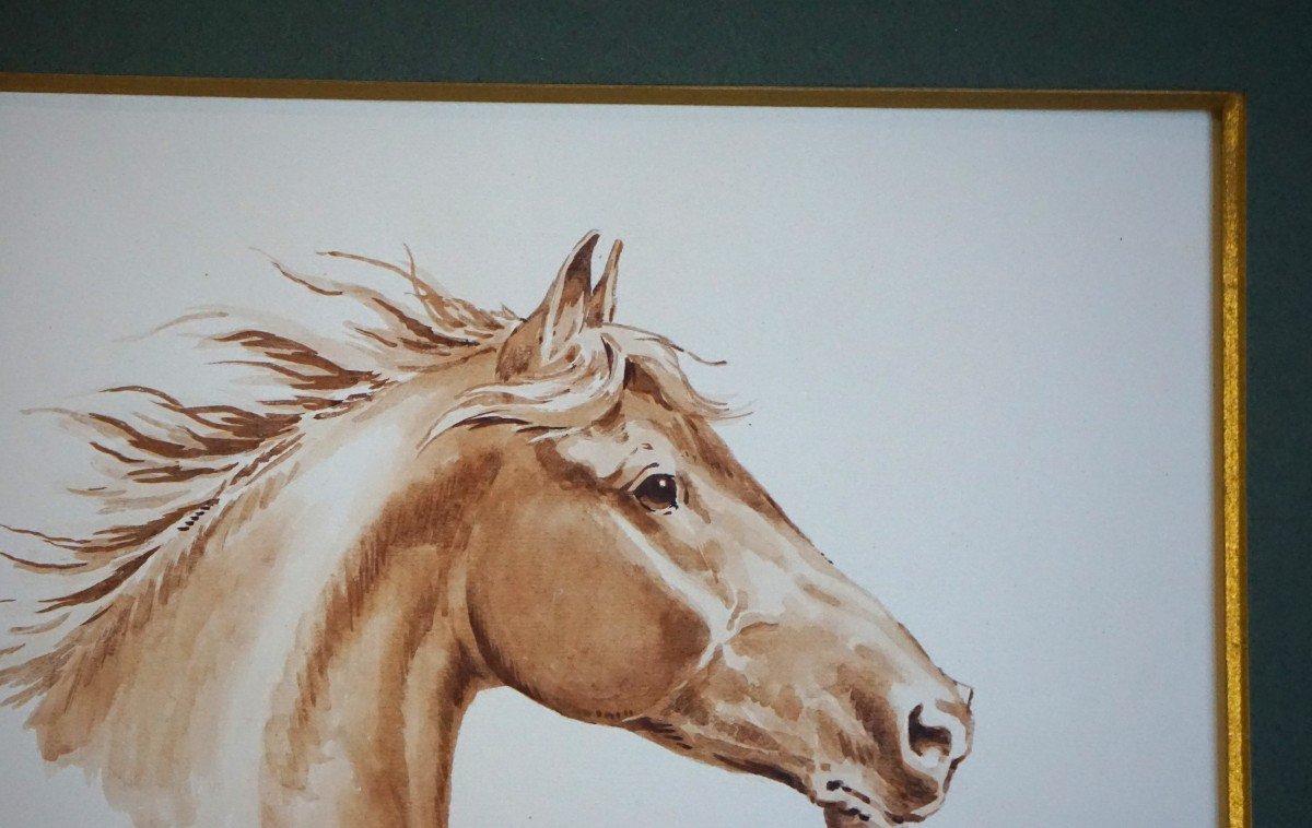Jacques Cartier (1907-2001) / Portrait Of A Horse In The Wind / Watercolor-photo-3
