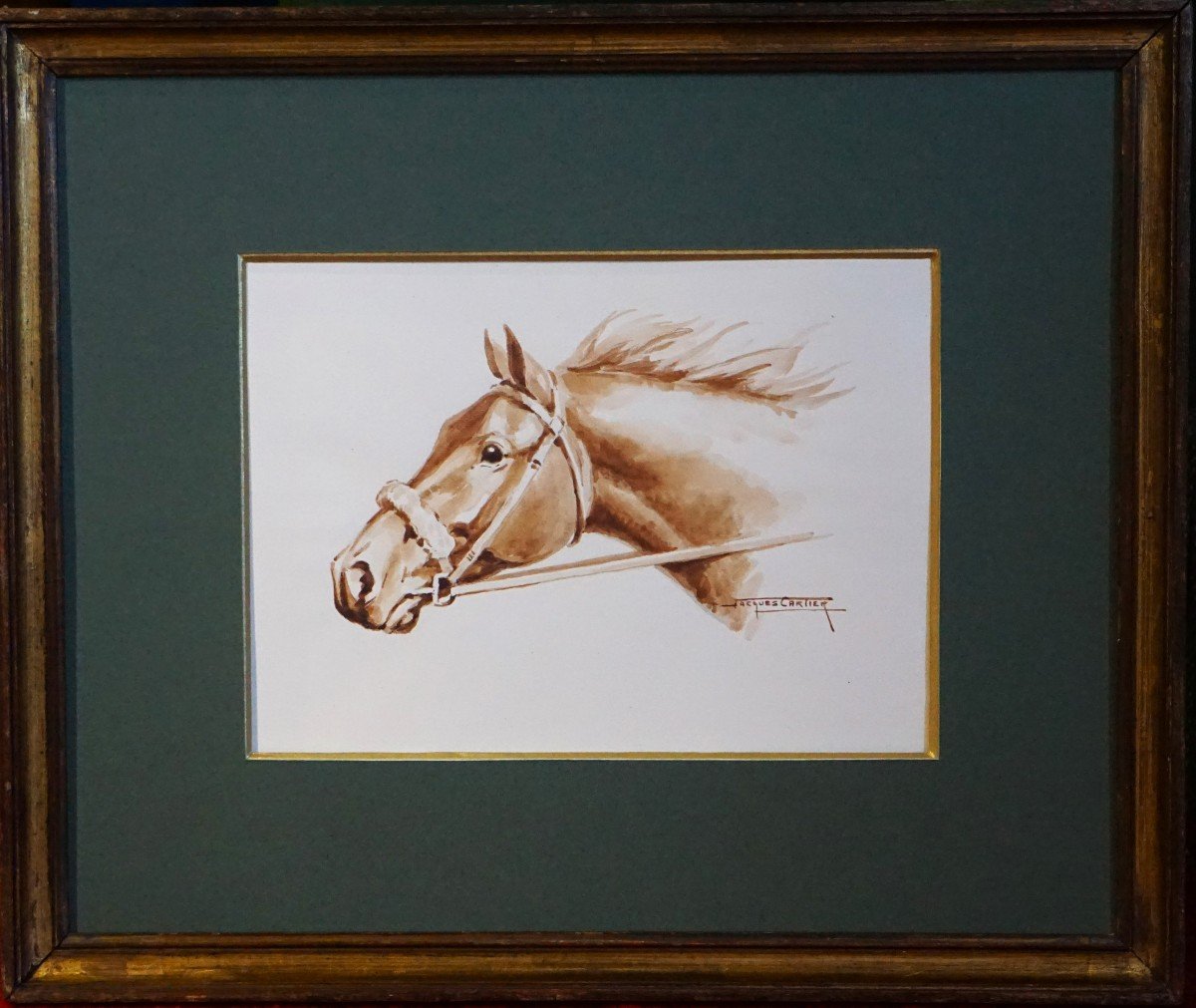 Jacques Cartier (1907-2001) / Horse Portrait / Watercolor-photo-4