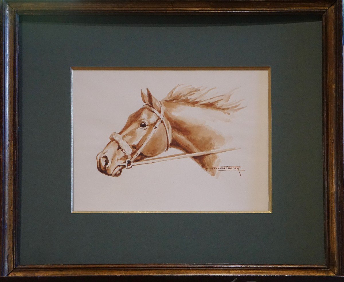 Jacques Cartier (1907-2001) / Horse Portrait / Watercolor-photo-2