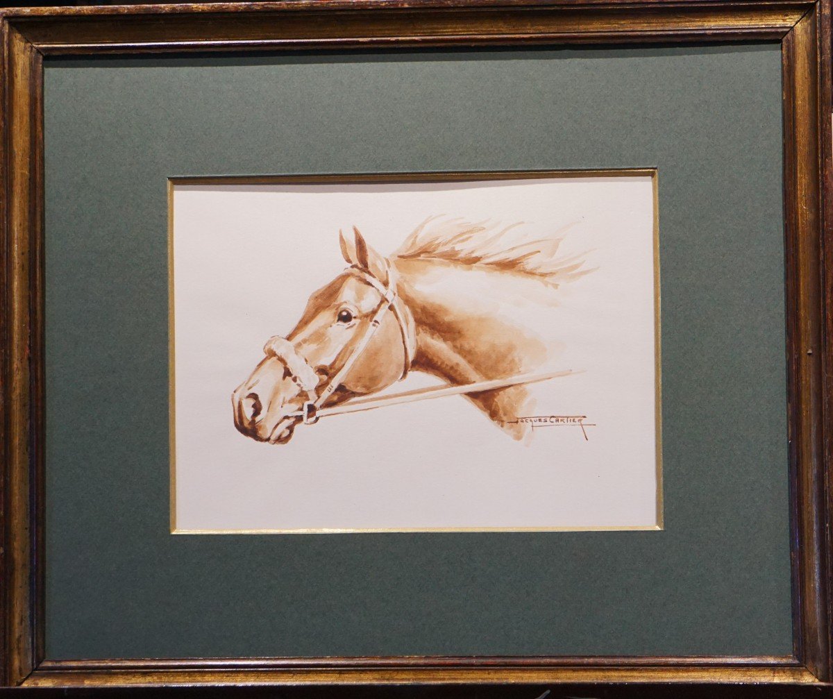 Jacques Cartier (1907-2001) / Horse Portrait / Watercolor-photo-3