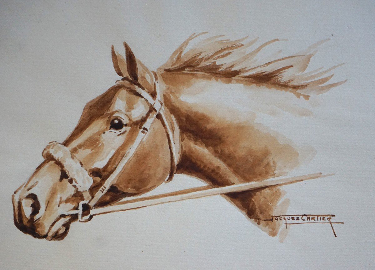 Jacques Cartier (1907-2001) / Horse Portrait / Watercolor